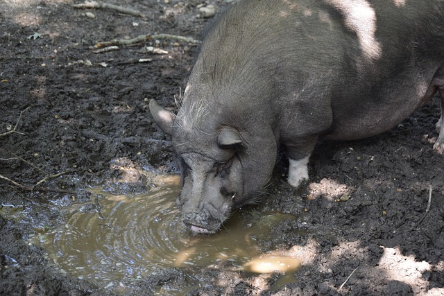 引发一系列 引发一系列