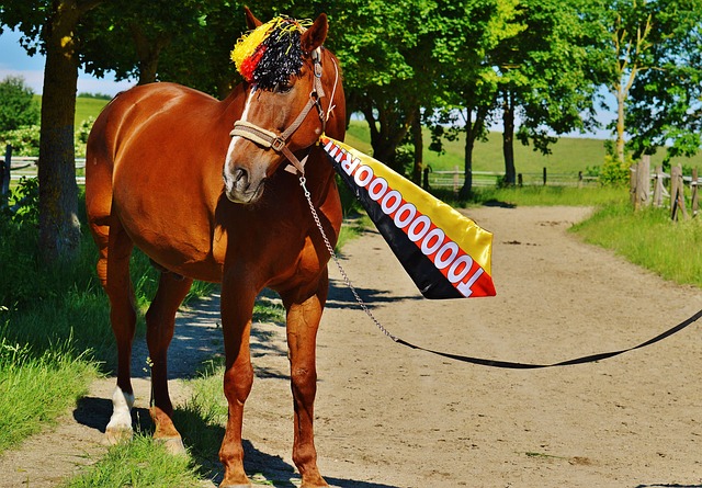 动的事件之 动的事件之