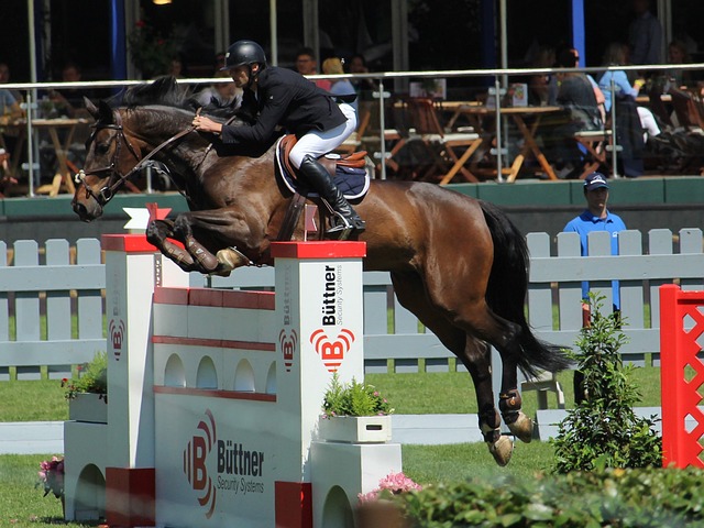 加强训练 加强训练