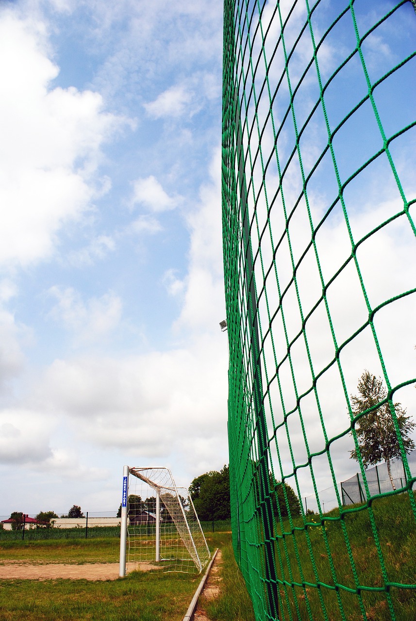 这种多样化 这种多样化