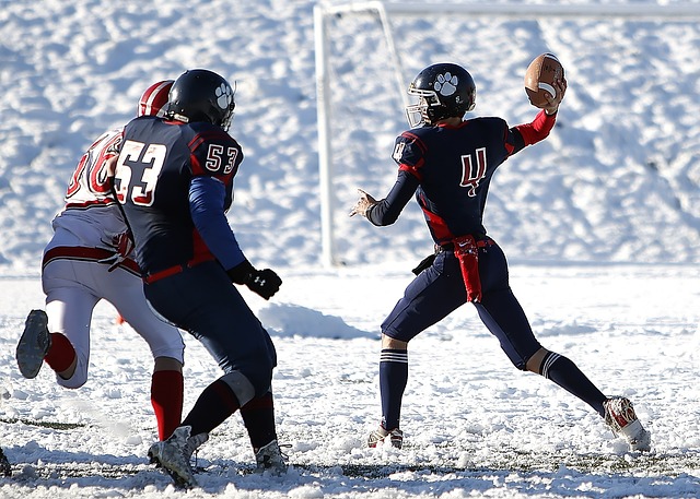 动会开幕 动会开幕