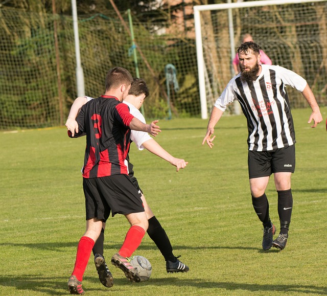 应能力可以 应能力可以